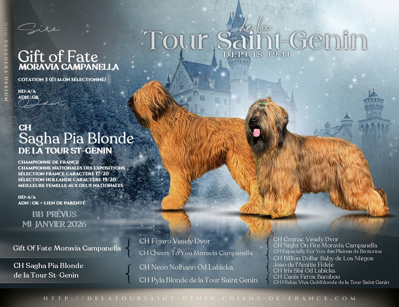 De La Tour Saint-Genin - Des BB fauves